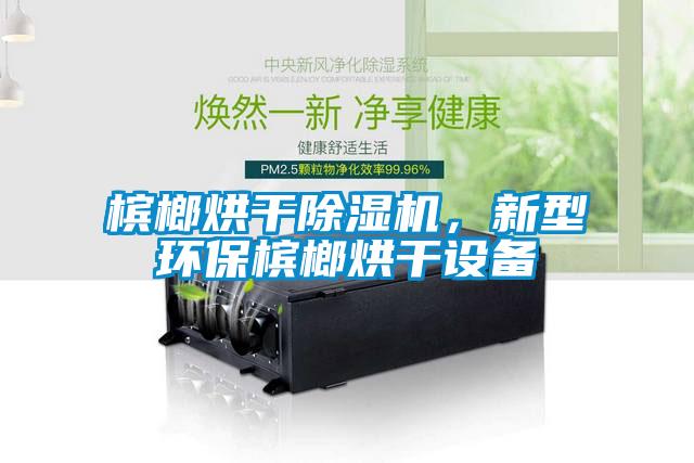 檳榔烘干除濕機(jī)，新型環(huán)保檳榔烘干設(shè)備