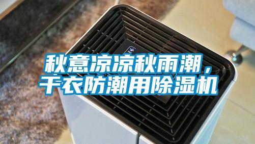 秋意涼涼秋雨潮，干衣防潮用除濕機