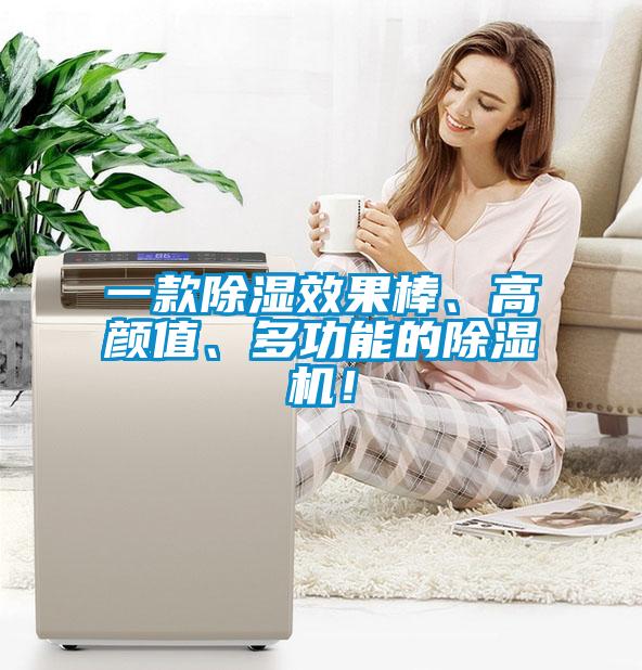 一款除濕效果棒、高顏值、多功能的除濕機！