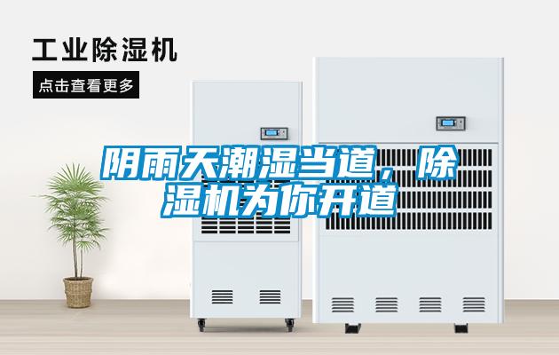 陰雨天潮濕當(dāng)?shù)溃凉駲C(jī)為你開道