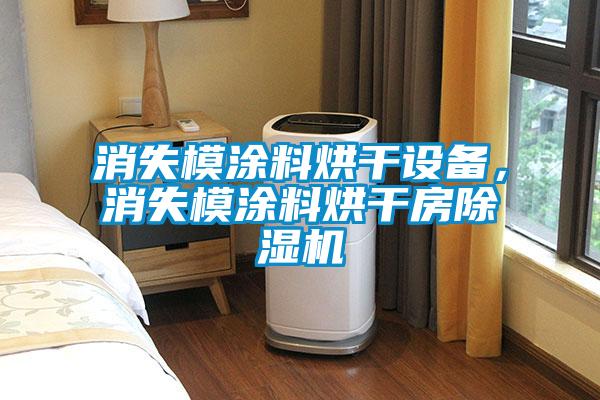 消失模涂料烘干設備，消失模涂料烘干房除濕機