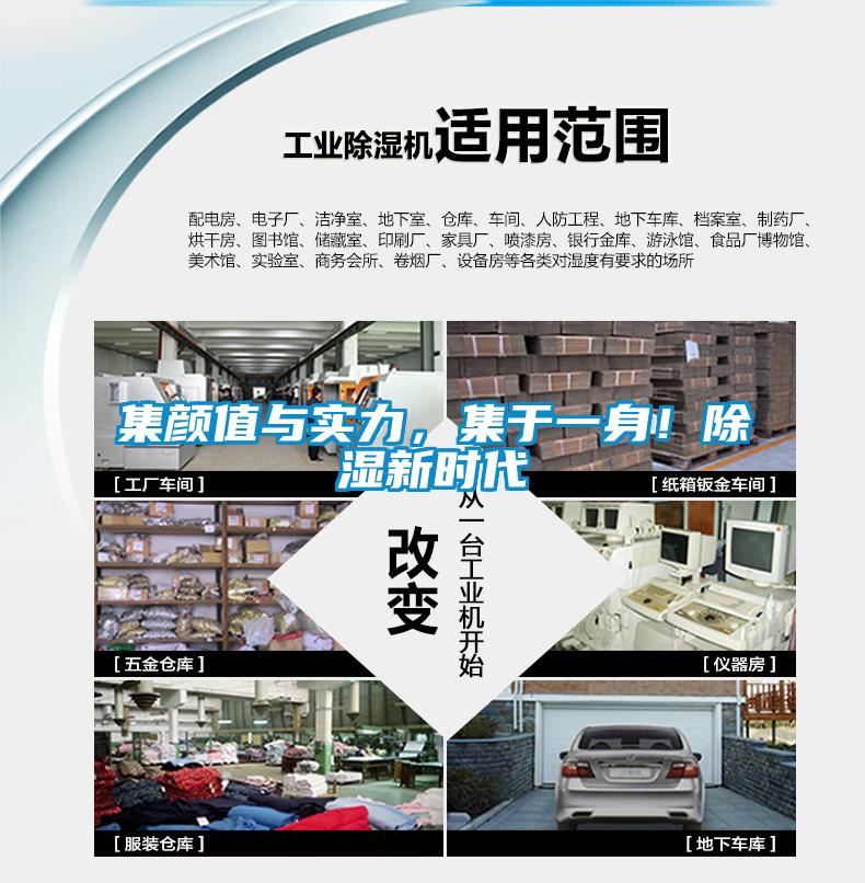 集顏值與實(shí)力，集于一身！除濕新時代