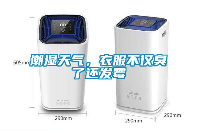 潮濕天氣，衣服不僅臭了還發(fā)霉