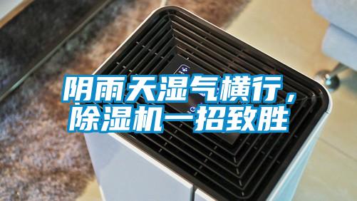 陰雨天濕氣橫行，除濕機(jī)一招致勝