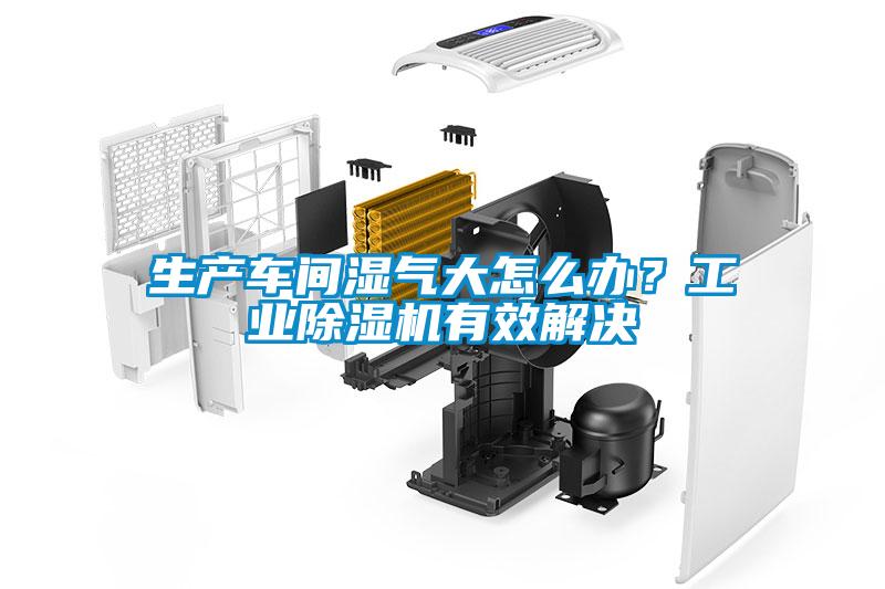 生產(chǎn)車間濕氣大怎么辦？工業(yè)除濕機(jī)有效解決