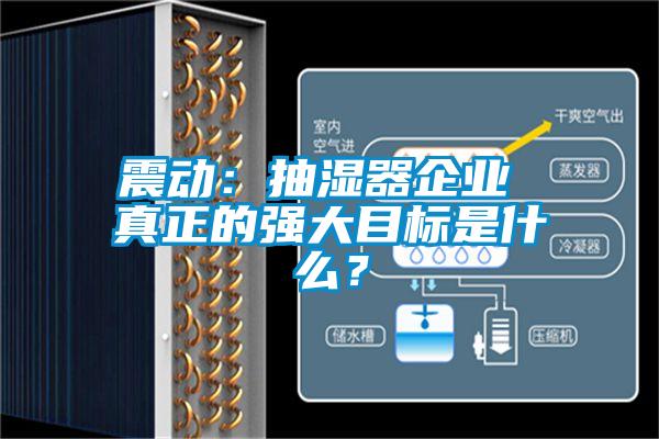 震動(dòng)：抽濕器企業(yè) 真正的強(qiáng)大目標(biāo)是什么？