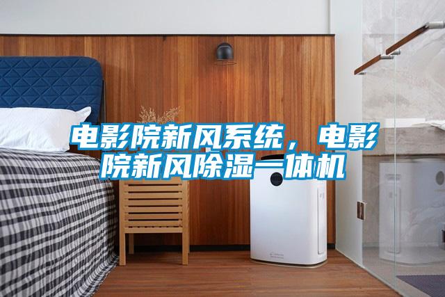 電影院新風(fēng)系統(tǒng)，電影院新風(fēng)除濕一體機(jī)