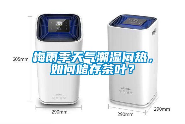 梅雨季天氣潮濕悶熱，如何儲存茶葉？