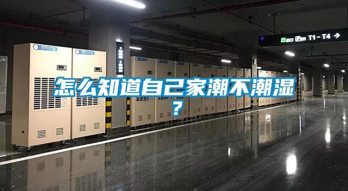 怎么知道自己家潮不潮濕？