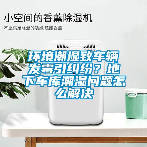 環(huán)境潮濕致車輛發(fā)霉引糾紛？地下車庫潮濕問題怎么解決