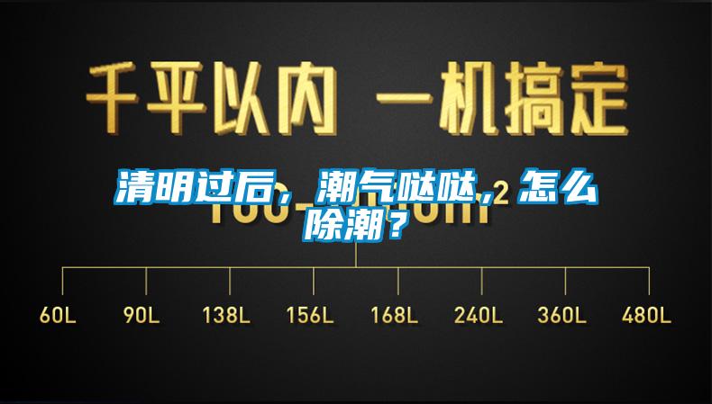 清明過后，潮氣噠噠，怎么除潮？