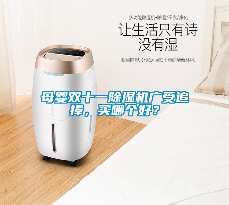 母嬰雙十一除濕機(jī)廣受追捧，買哪個(gè)好？