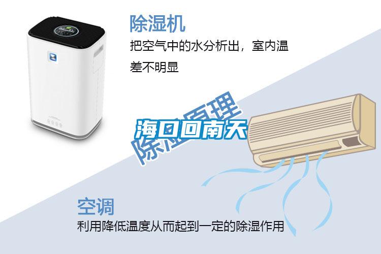 ?？诨啬咸?></div>
								<div   id=