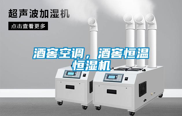 酒窖空調(diào)，酒窖恒溫恒濕機(jī)