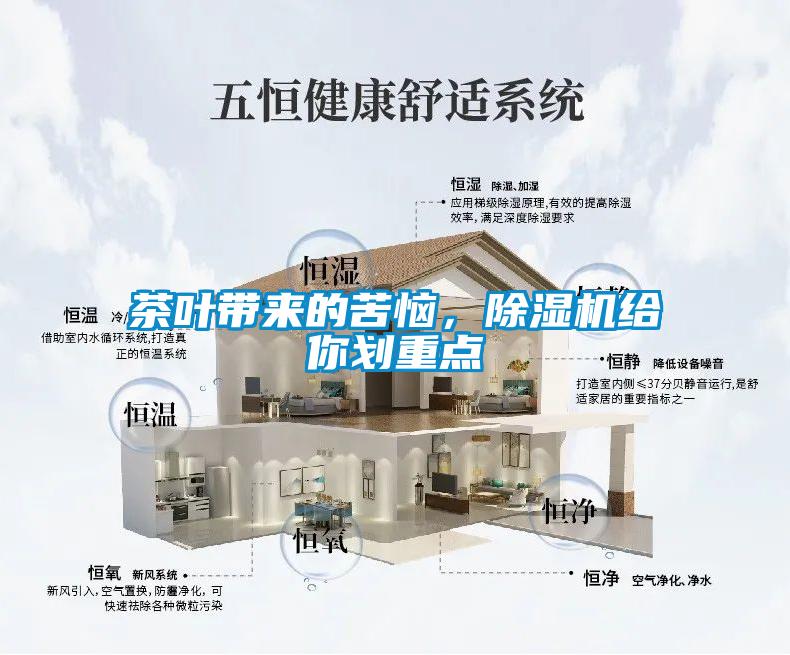 茶葉帶來的苦惱，除濕機給你劃重點