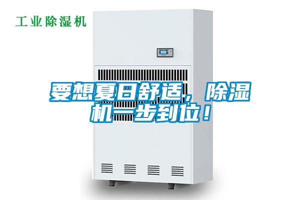 要想夏日舒適，除濕機一步到位！