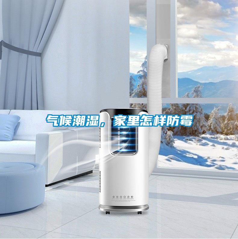 氣候潮濕，家里怎樣防霉