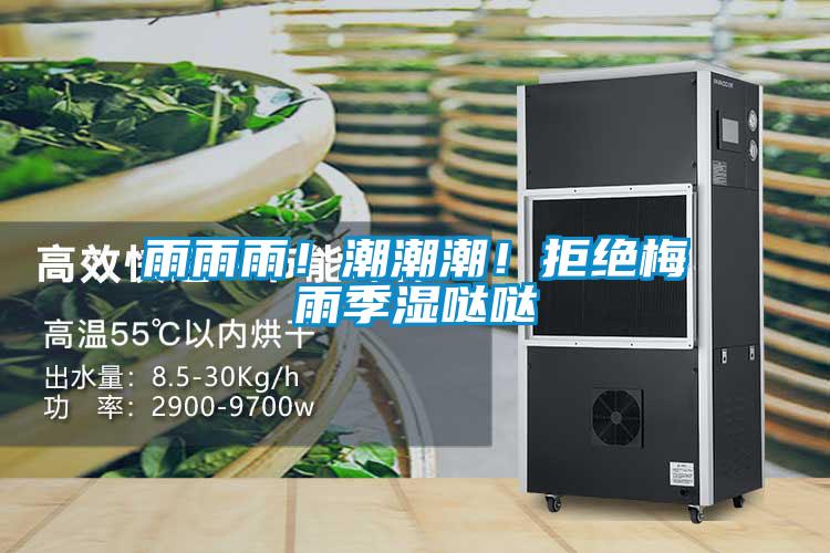 雨雨雨！潮潮潮！拒絕梅雨季濕噠噠