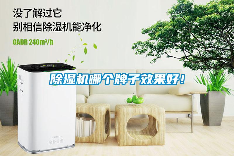 除濕機(jī)哪個(gè)牌子效果好！