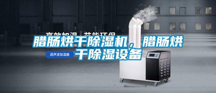 臘腸烘干除濕機(jī)，臘腸烘干除濕設(shè)備