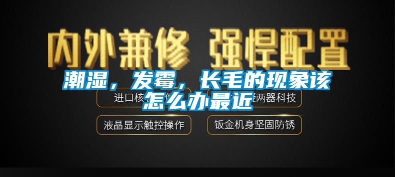 潮濕，發(fā)霉，長(zhǎng)毛的現(xiàn)象該怎么辦最近