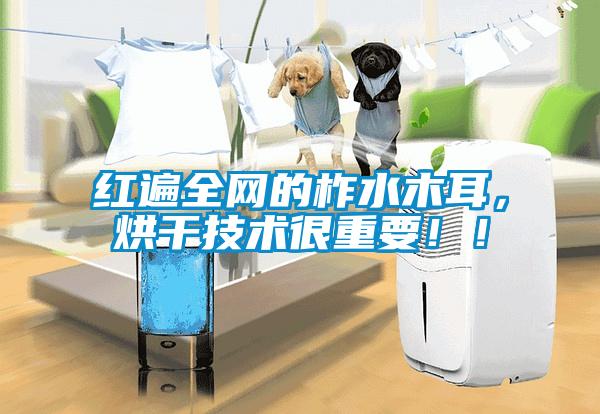 紅遍全網(wǎng)的柞水木耳，烘干技術(shù)很重要??！