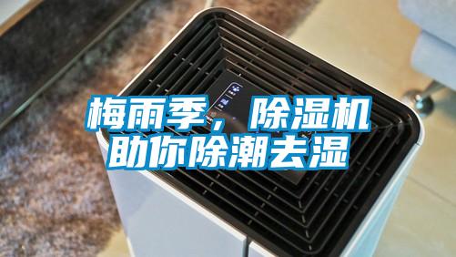 梅雨季，除濕機助你除潮去濕