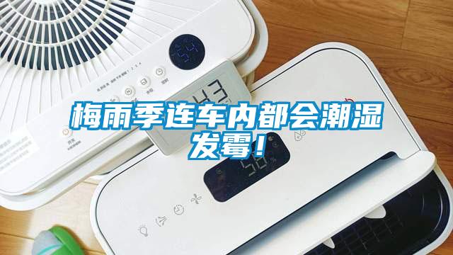 梅雨季連車內(nèi)都會(huì)潮濕發(fā)霉！