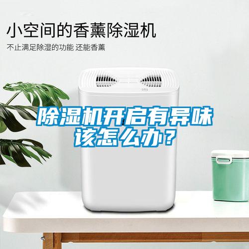 除濕機(jī)開啟有異味該怎么辦？