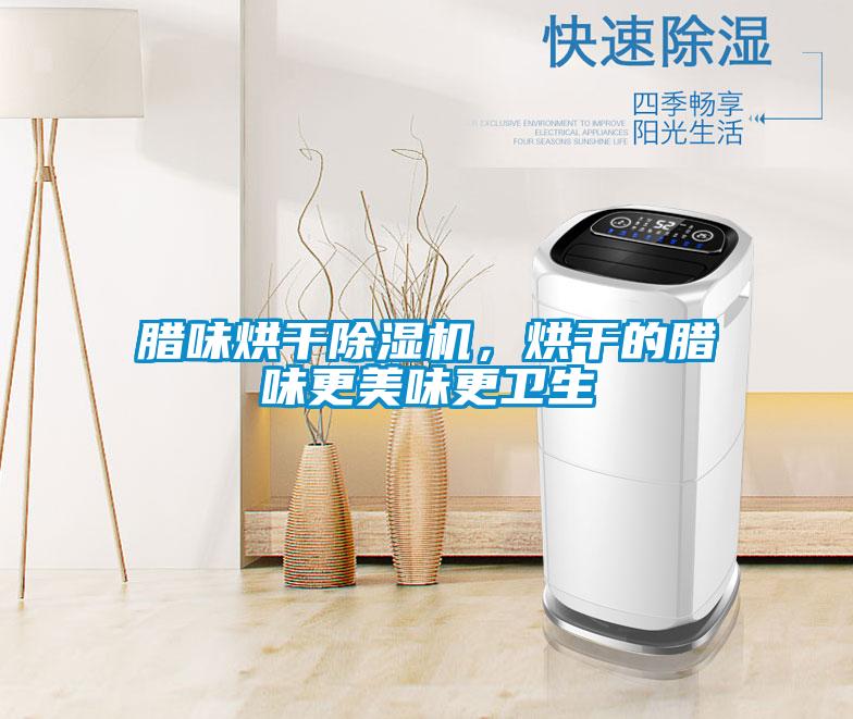 臘味烘干除濕機(jī)，烘干的臘味更美味更衛(wèi)生