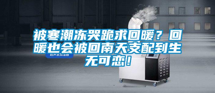 被寒潮凍哭跪求回暖？回暖也會(huì)被回南天支配到生無可戀！