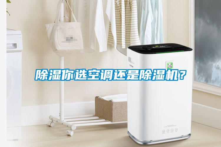 除濕你選空調還是除濕機？