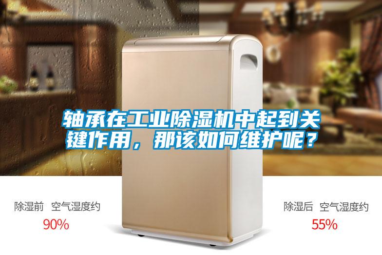 軸承在工業(yè)除濕機(jī)中起到關(guān)鍵作用，那該如何維護(hù)呢？