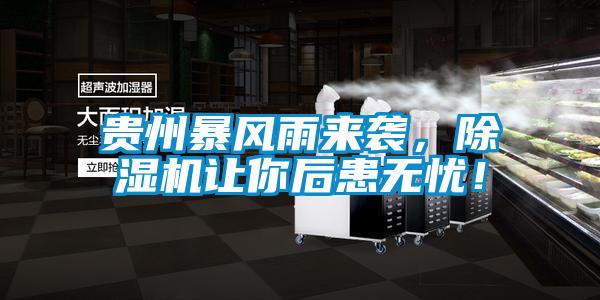 貴州暴風(fēng)雨來襲，除濕機(jī)讓你后患無憂！