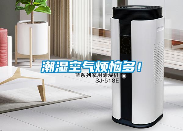 潮濕空氣煩惱多！