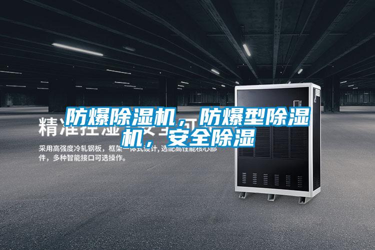 防爆除濕機(jī)，防爆型除濕機(jī)，安全除濕