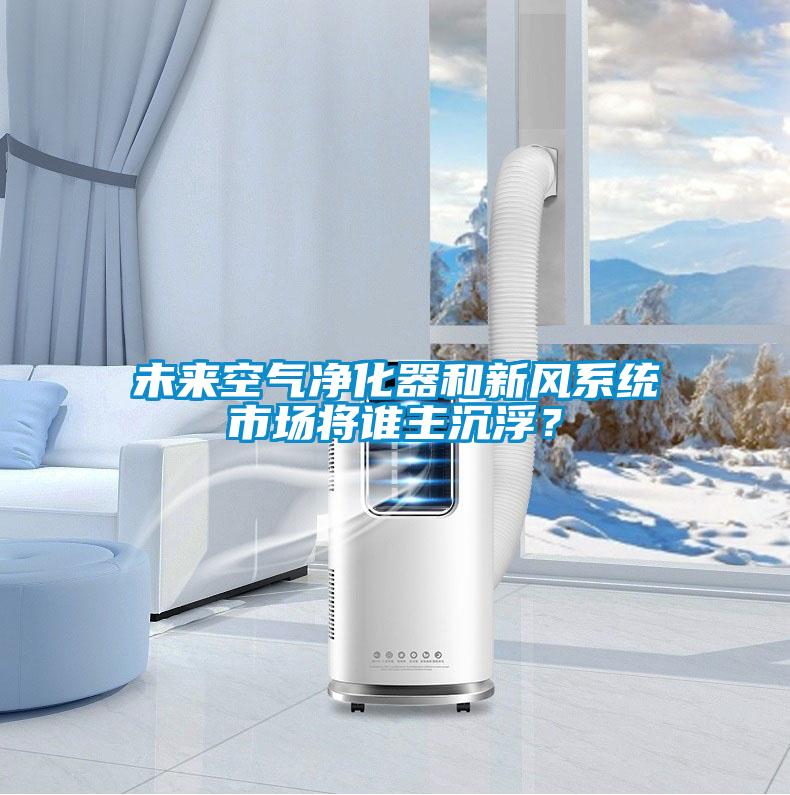 未來空氣凈化器和新風系統(tǒng)市場將誰主沉浮？
