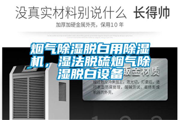 煙氣除濕脫白用除濕機，濕法脫硫煙氣除濕脫白設備