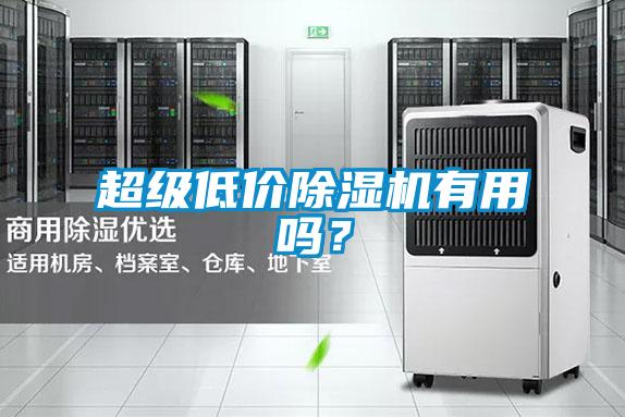 超級(jí)低價(jià)除濕機(jī)有用嗎？
