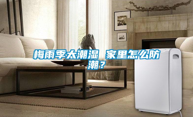 梅雨季太潮濕 家里怎么防潮？