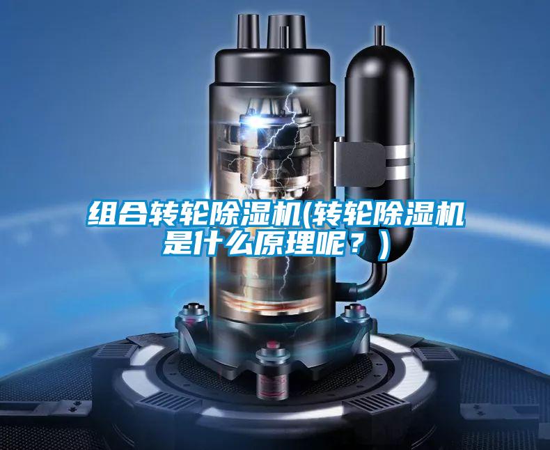 組合轉(zhuǎn)輪除濕機(轉(zhuǎn)輪除濕機是什么原理呢？)