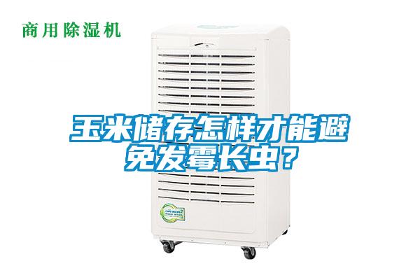 玉米儲存怎樣才能避免發(fā)霉長蟲？