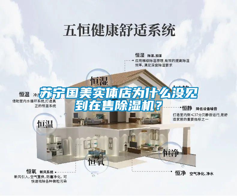 蘇寧國(guó)美實(shí)體店為什么沒(méi)見到在售除濕機(jī)？