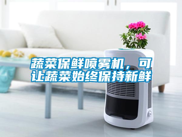 蔬菜保鮮噴霧機(jī)，可讓蔬菜始終保持新鮮