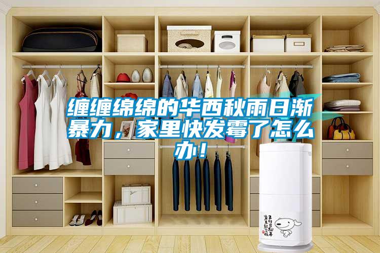 纏纏綿綿的華西秋雨日漸暴力，家里快發(fā)霉了怎么辦！