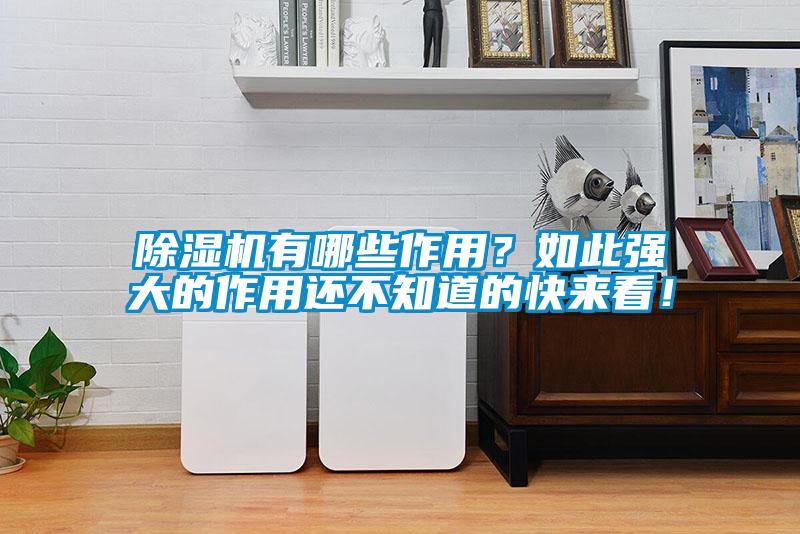 除濕機(jī)有哪些作用？如此強(qiáng)大的作用還不知道的快來(lái)看！