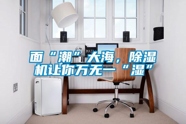 面“潮”大海，除濕機(jī)讓你萬無一“濕”