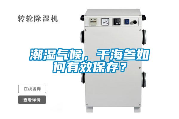 潮濕氣候，干海參如何有效保存？