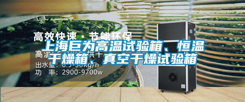 上海巨為高溫試驗箱、恒溫干燥箱、真空干燥試驗箱