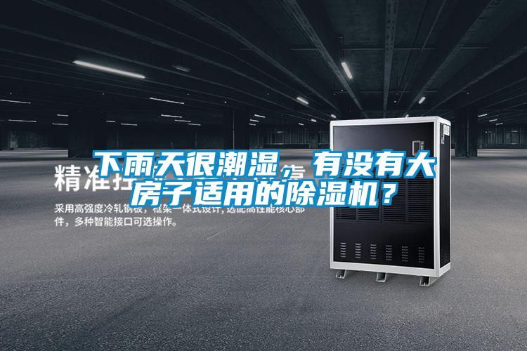 下雨天很潮濕，有沒有大房子適用的除濕機(jī)？
